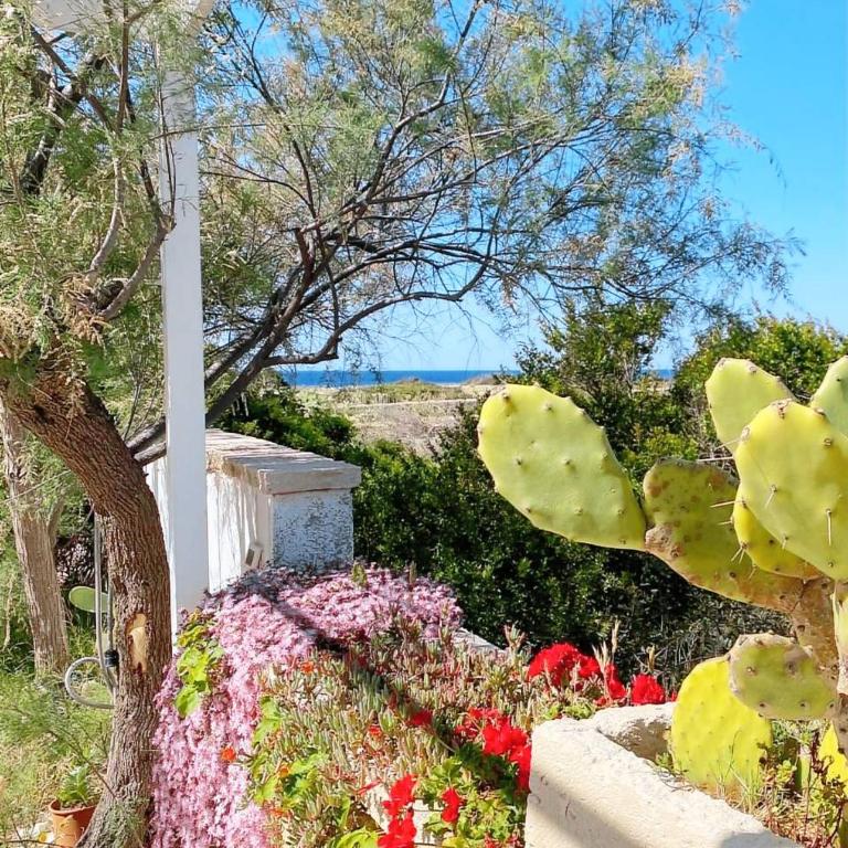 Saraceni - Two-Bedroom House - 13
