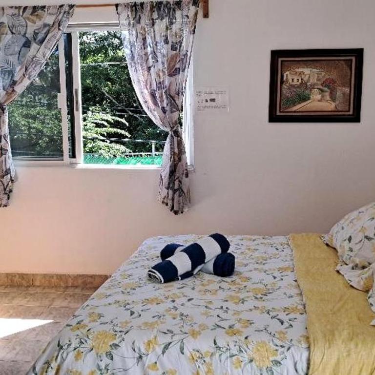 Estudio Coatí Azul en la Isla de Cozumel en el Caribe - Estudio con cama extragrande - 43