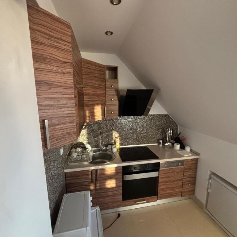 Kopaonik Najpovoljniji Apartmani - Apartment - Split Level - 17