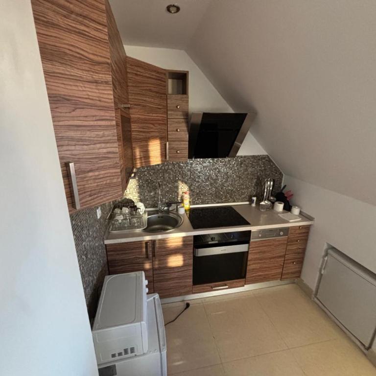 Kopaonik Najpovoljniji Apartmani - Apartment - Split Level - 22