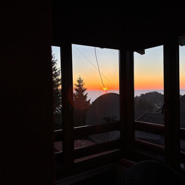 Kopaonik Najpovoljniji Apartmani - Apartment - Split Level - 24