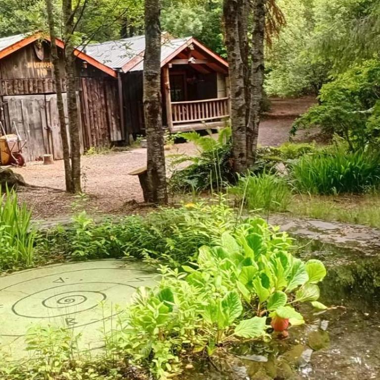 Pucón Magic forest - Suite con vistas al jardín - 14