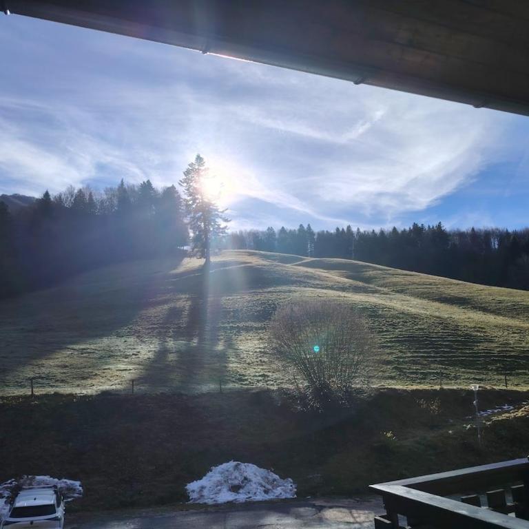 Appartement type chalet savoyard cosy - Appartement 2 Chambres - 8
