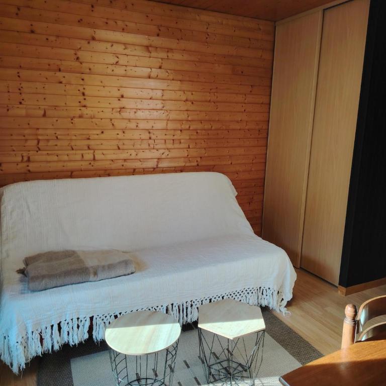 Appartement type chalet savoyard cosy - Appartement 2 Chambres - 9