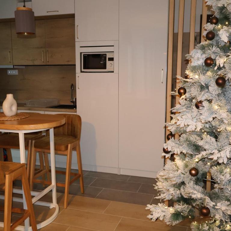 Apartmani Vidik,Treska - One-Bedroom Apartment - 4