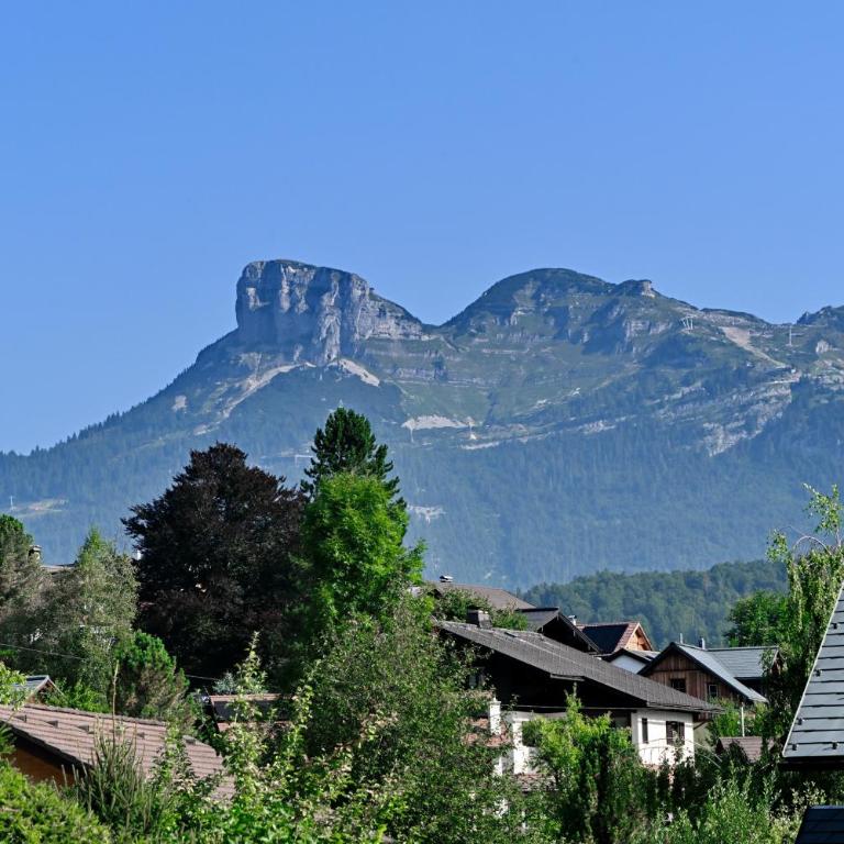 Haus Helpferer ruhiges Apartment mit Balkon und Bergblick - Apartment mit 1 Schlafzimmer - 5