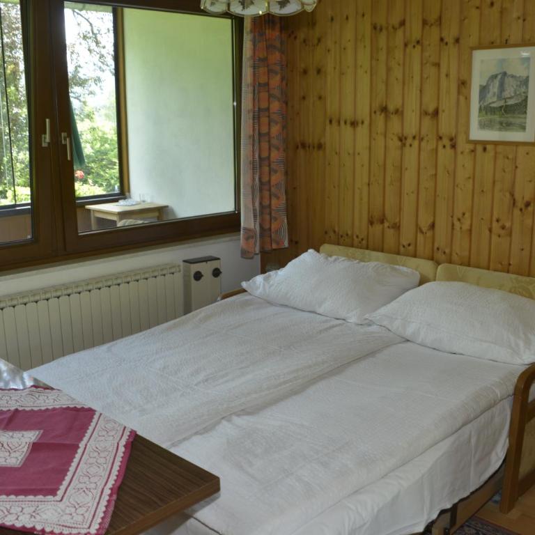 Haus Helpferer ruhiges Apartment mit Balkon und Bergblick - Apartment mit 1 Schlafzimmer - 16