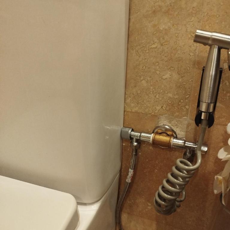 Indo Real OGGOB com - One-Bedroom Apartment - 21