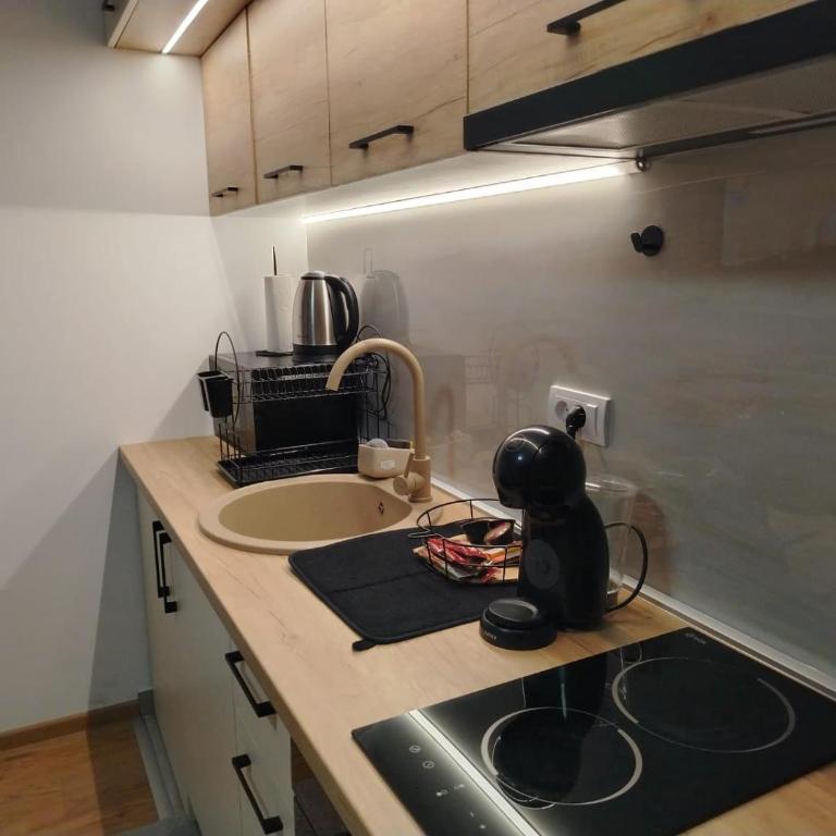 AlibiKopaonikSky32 - One-Bedroom Apartment - 16