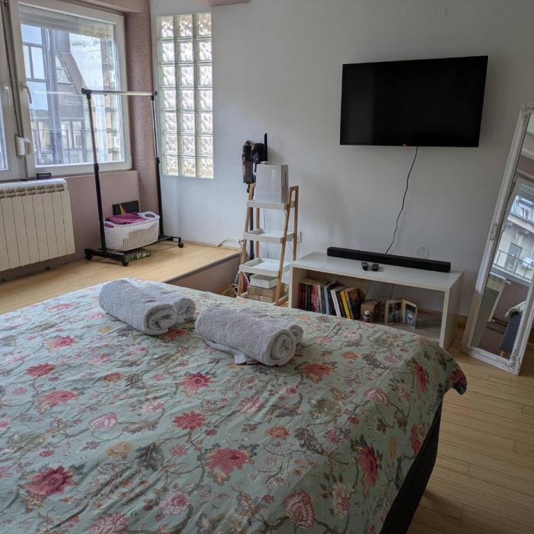 Apartman Jevremov Kutak - Two-Bedroom Apartment - 9