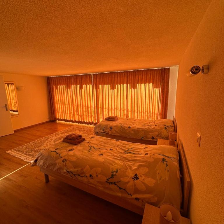 Chalet à Savièse en bordure de forêt - One-Bedroom Chalet - 14