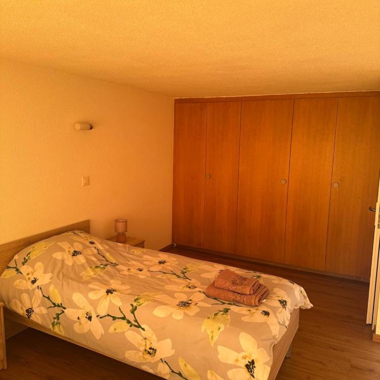 Chalet à Savièse en bordure de forêt - One-Bedroom Chalet - 13