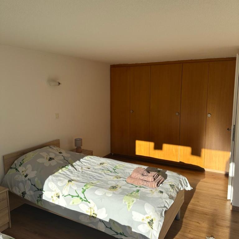 Chalet à Savièse en bordure de forêt - One-Bedroom Chalet - 16