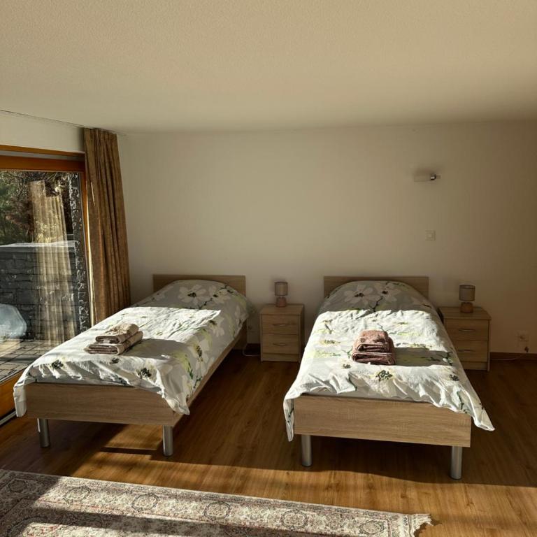 Chalet à Savièse en bordure de forêt - One-Bedroom Chalet - 15