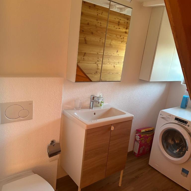 Chalet à Savièse en bordure de forêt - One-Bedroom Chalet - 19