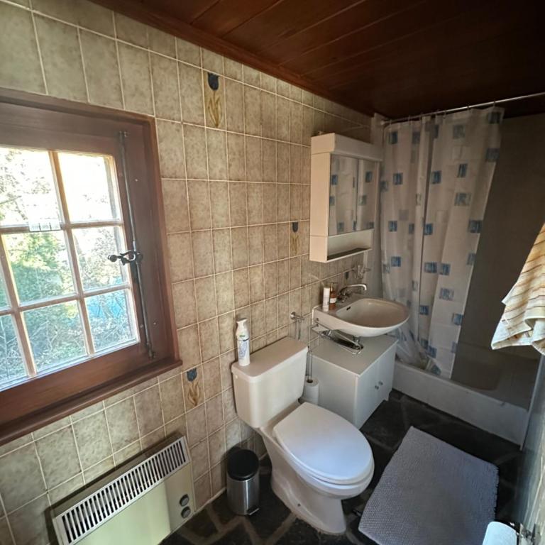 Chalet à Savièse en bordure de forêt - One-Bedroom Chalet - 10