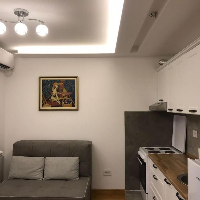 Visnjica - One-Bedroom Apartment - 1
