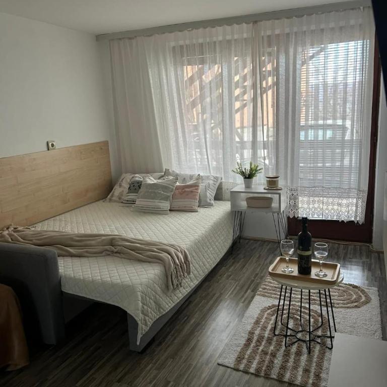 Podinario - Studio Apartman - 5