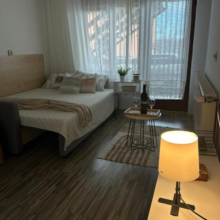 Podinario - Studio Apartman - 6