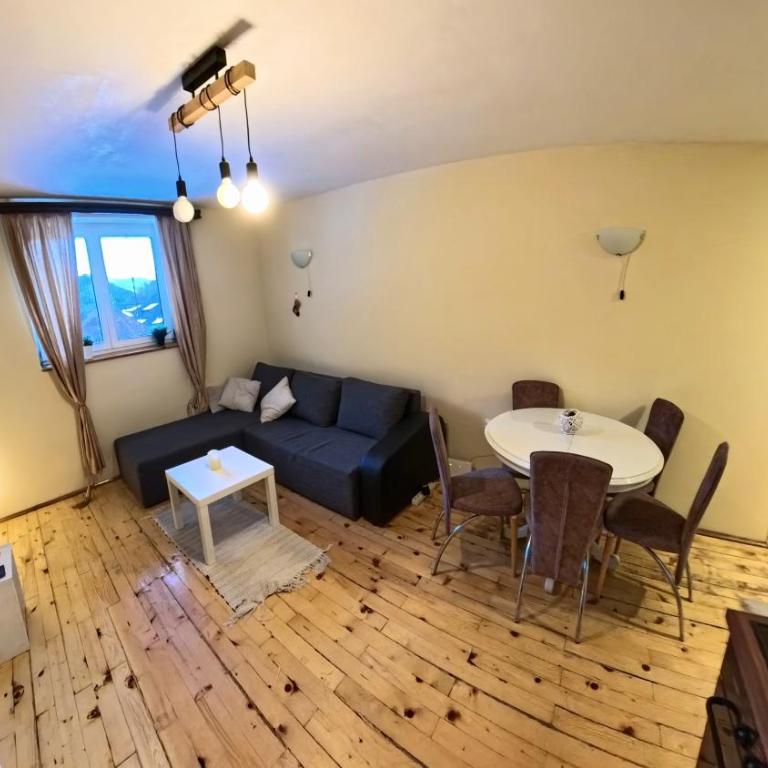 Ski-in & Ski-out, Apartman Filip - 30m from GONDOLA Brzeće - One-Bedroom Apartment - 2