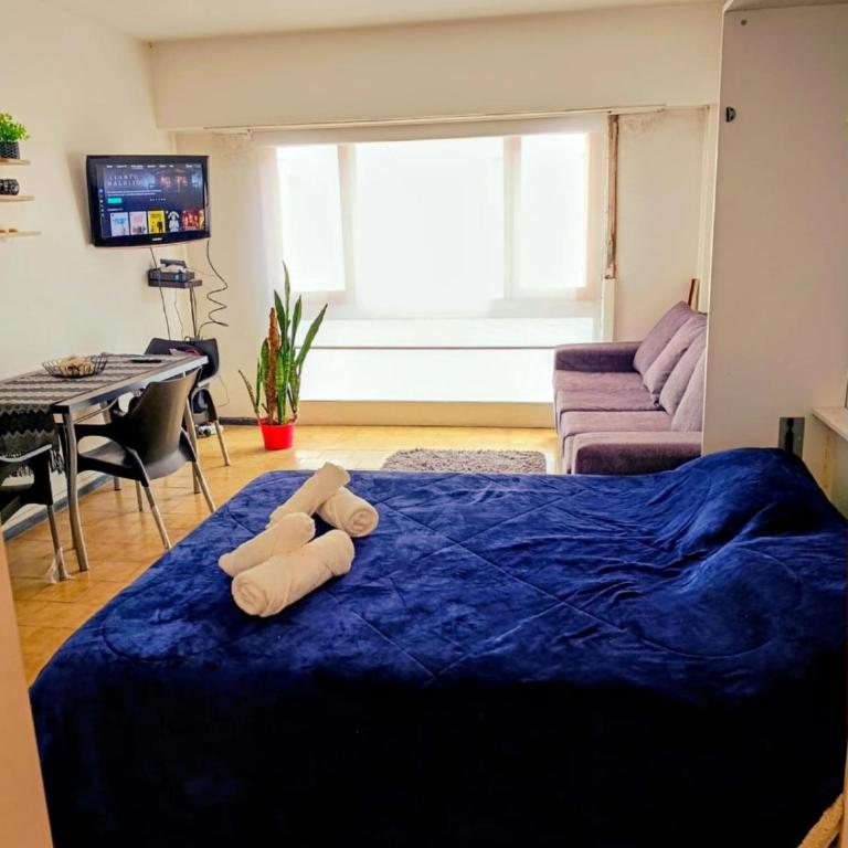Cintia - One-Bedroom Apartment - 7