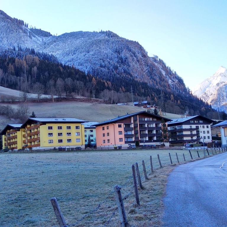 Green Wall Apartment Kaprun - Apartment mit Blick auf die Berge - 32