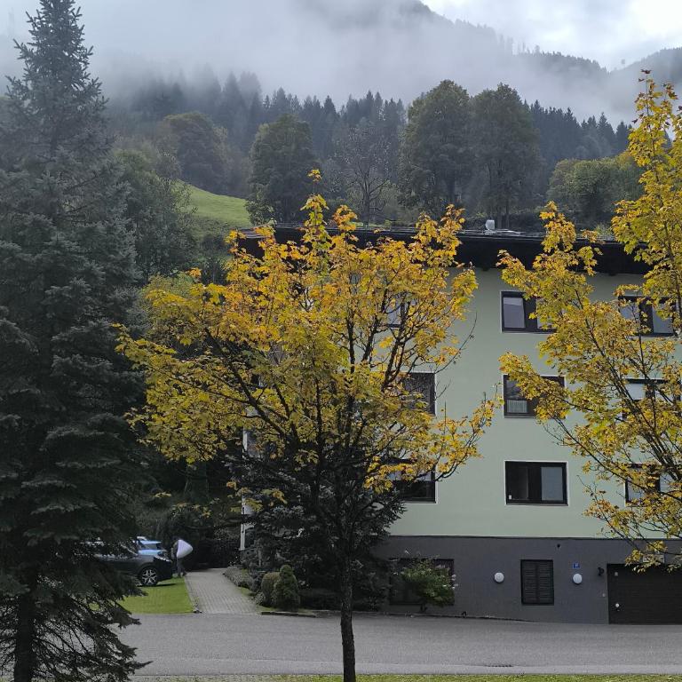 Green Wall Apartment Kaprun - Apartment mit Blick auf die Berge - 33