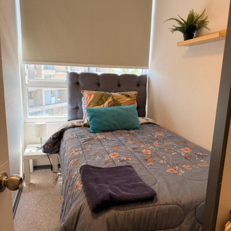 Dep full equipado en el centro de la ciudad modernidad 3 habitaciones 1 baño - Apartment - 14