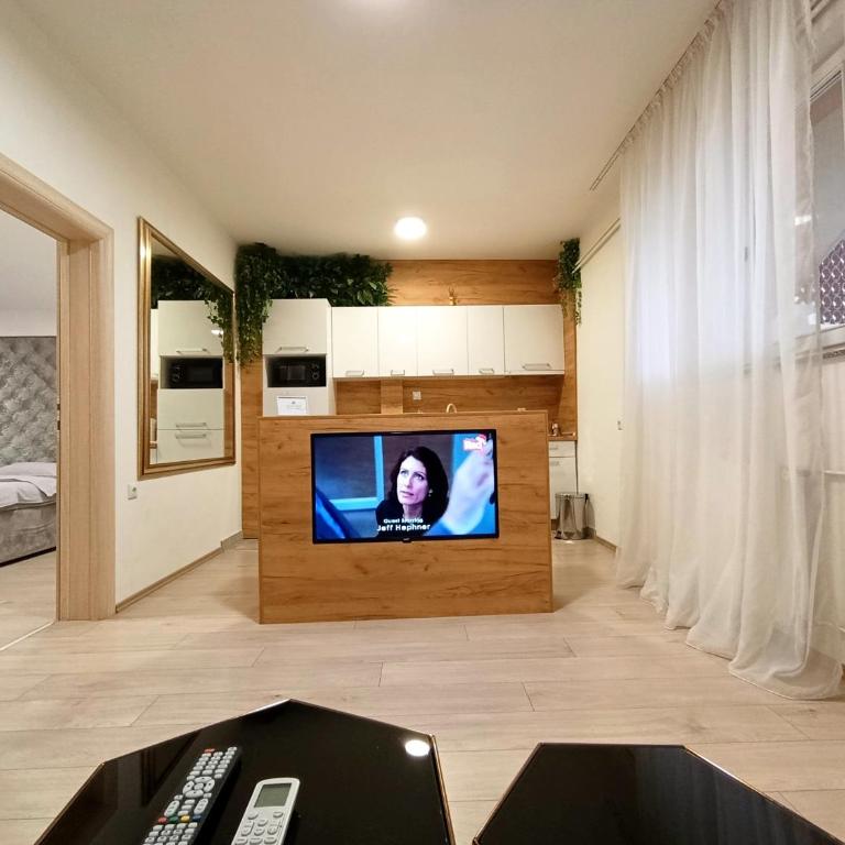 Abbazia Apartments Free Parking Near Center and Vrbas River - Apartman sa 2 Spavaće Sobe - 25