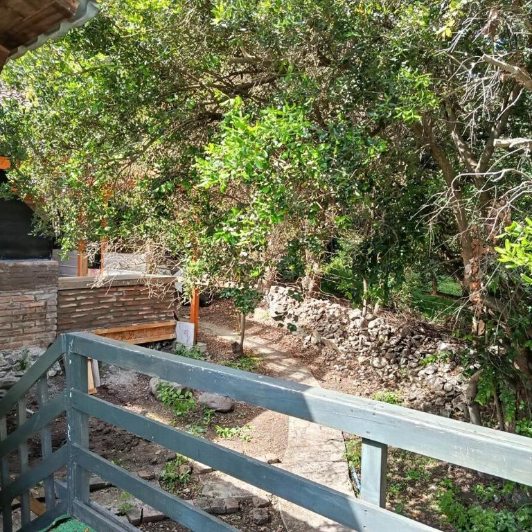 Casa Olmué - One-Bedroom House - 19