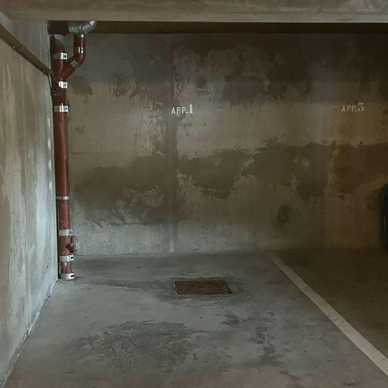 Charmant appartement 3 pièces, jardin, parking et wifi à Demi-Quartier - FR-1-597-187 - Appartement - 17