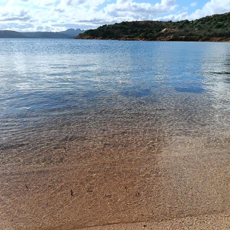 Appartamento a La Maddalena - One-Bedroom Apartment - 60