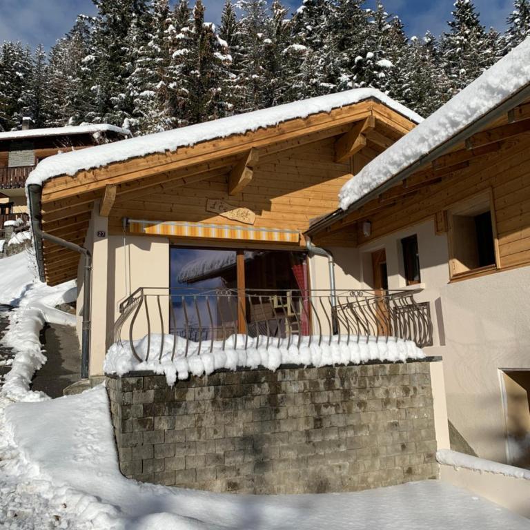 Chalet de la Forêt - Chalet 1 Chambre - 4