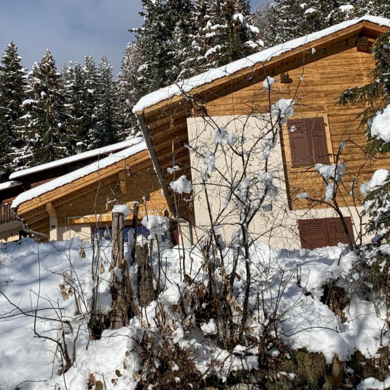 Chalet de la Forêt - Chalet 1 Chambre - 9