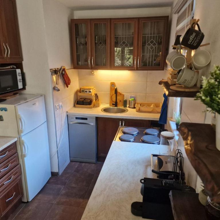 Mladenović Kuća - Four-Bedroom Vacation Home - 21