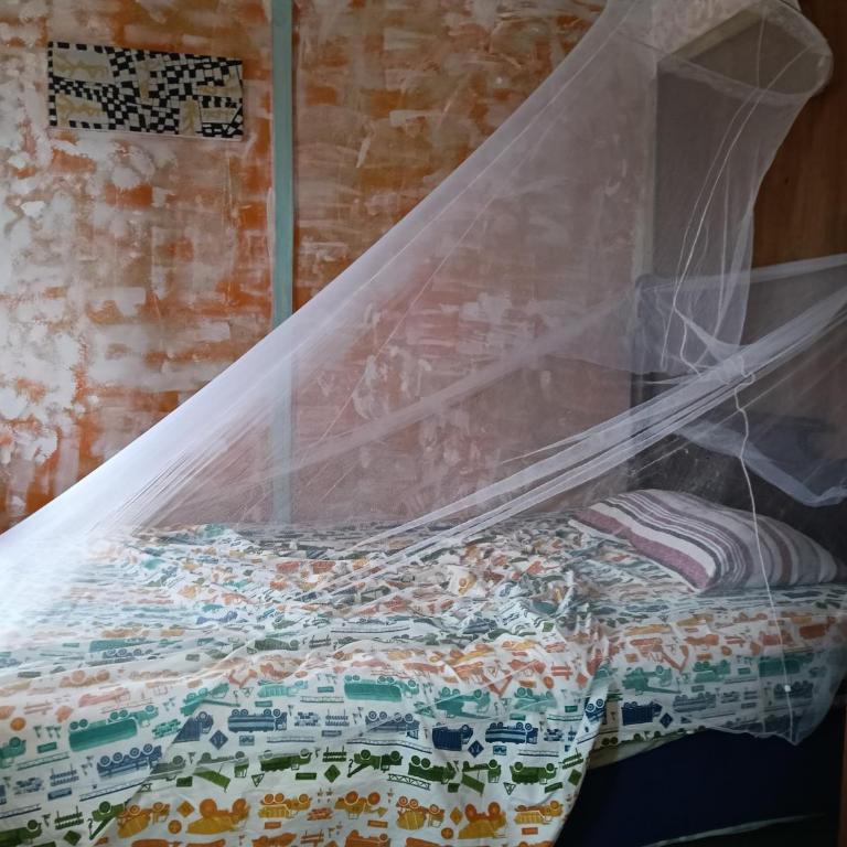 Biodiversidad - Family Double Room - 9