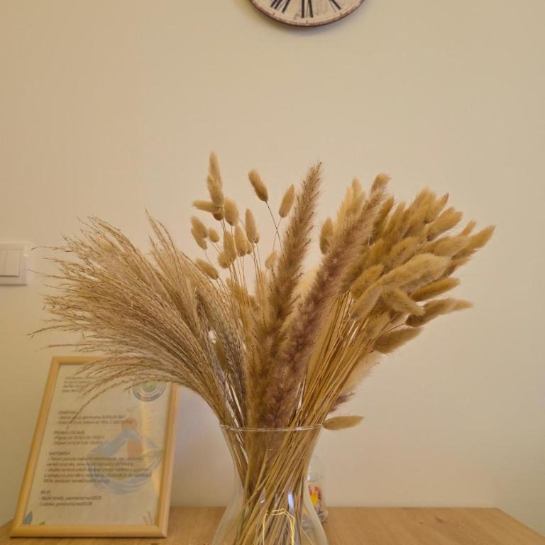 Panoramic Nest - Apartman sa 1 Spavaćom Sobom - 24