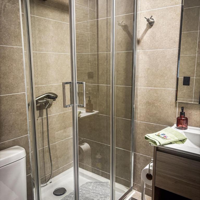 Apartment in Valdivia steps from the waterfront - One-Bedroom Apartment - 9