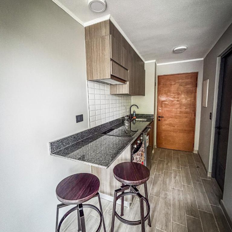 Apartment in Valdivia steps from the waterfront - One-Bedroom Apartment - 6