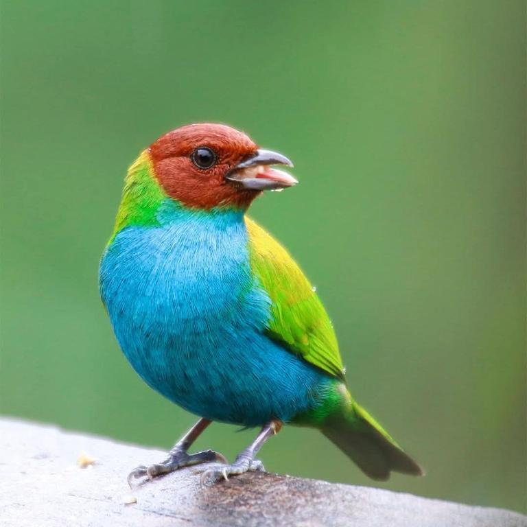 Finca El Rosal - Apartment - 13