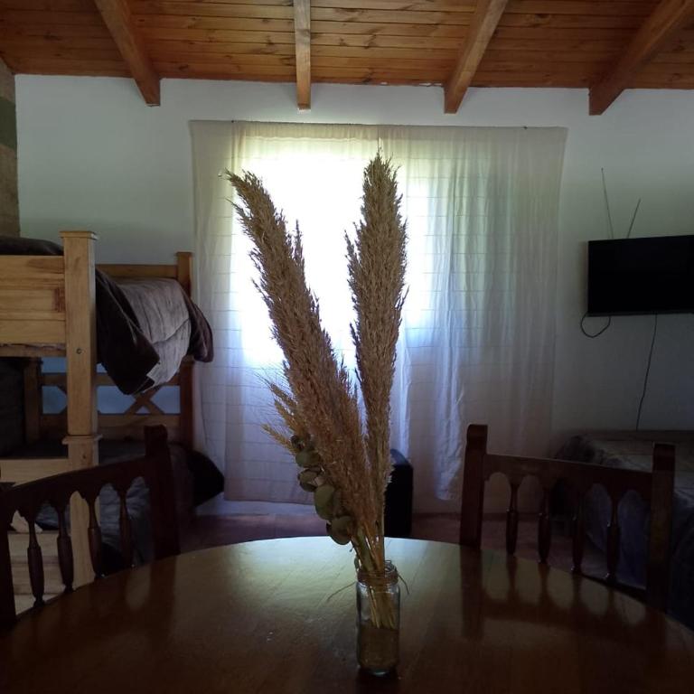 Cabañas Universo - Apartamento de 1 dormitorio - 4