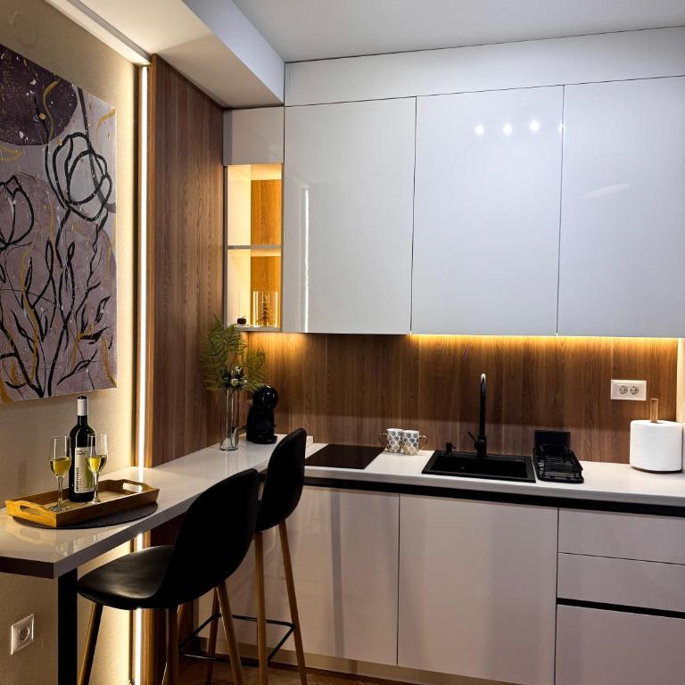 Studio Georgijev - Apartman sa 1 Spavaćom Sobom - 5