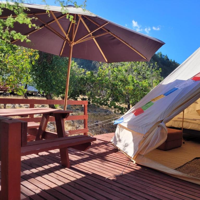 Achibueno Glamping - Tent - 3