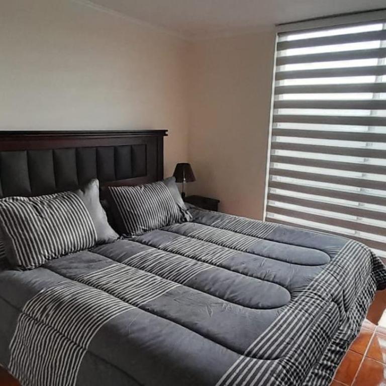 Excelente departamento - Three-Bedroom Apartment - 2