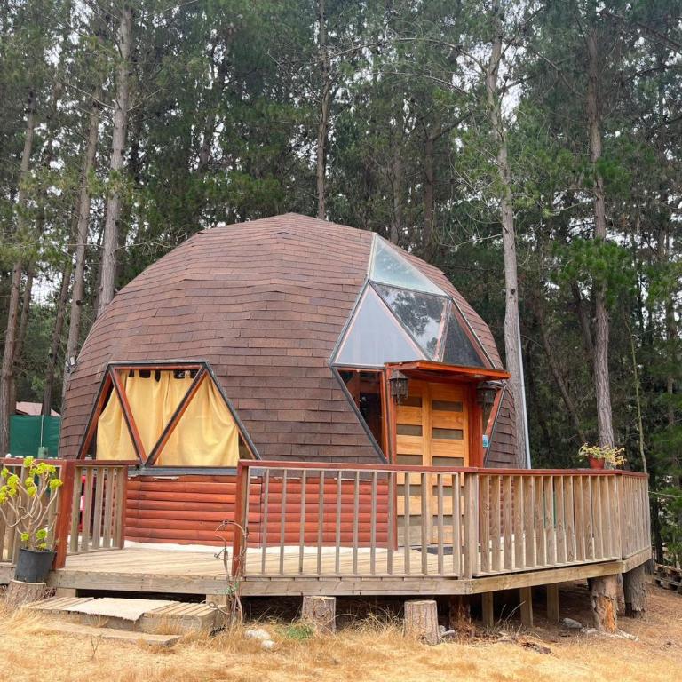 Domo Algarrobo Bosque y Mar - Two-Room Apartment - 1