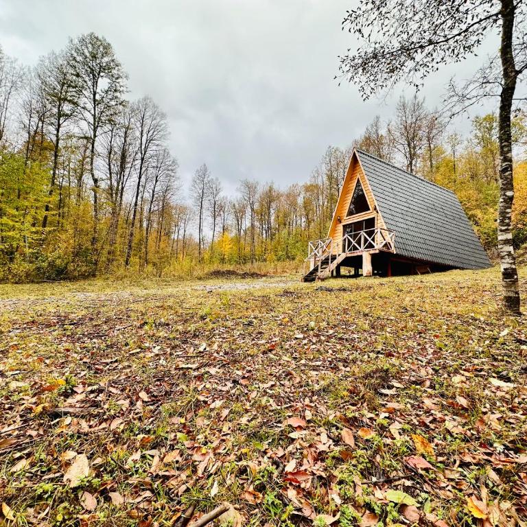 Araucaria Lodge Cabaña Alpina cerca del Parque Conguillío - Casa de 2 dormitorios - 2