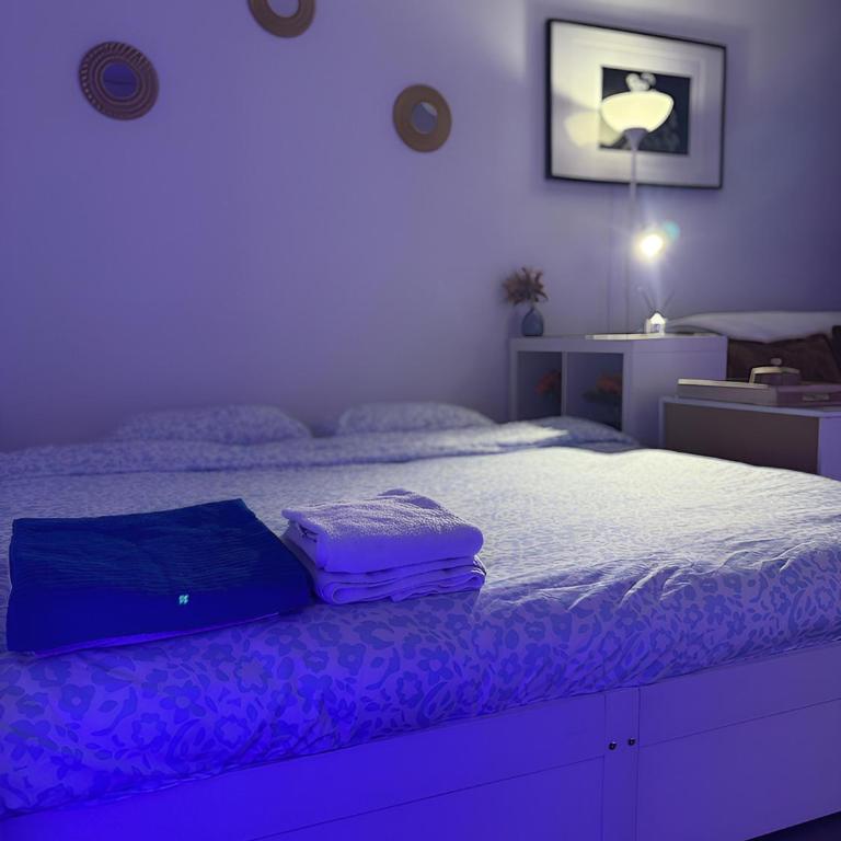 Studio Design à Mulhouse - Appartement 1 Chambre - 1