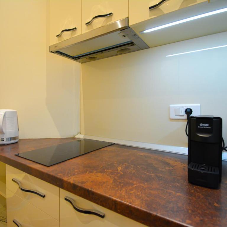 Urban Suite Zlatibor - Apartman sa 2 Spavaće Sobe - 11