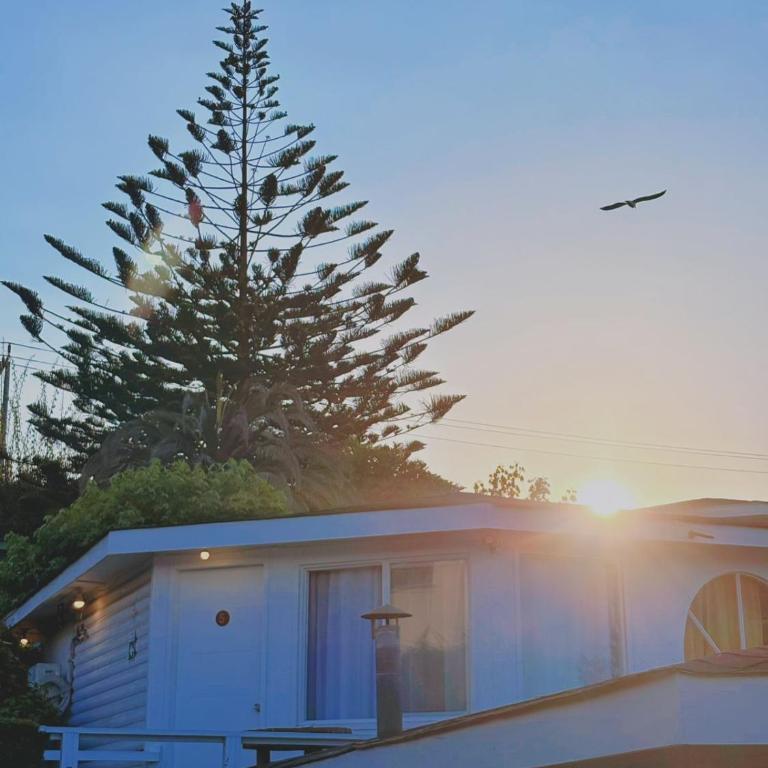 Hotel Puerto Mayor - Habitación Executive con cama grande - 3