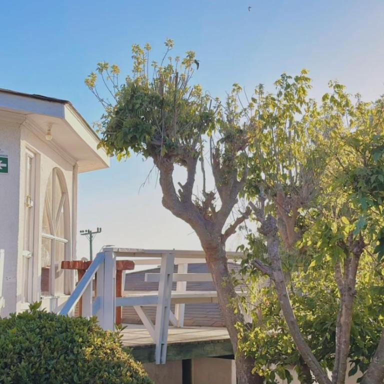 Hotel Puerto Mayor - Habitación Doble - 2 camas - 1